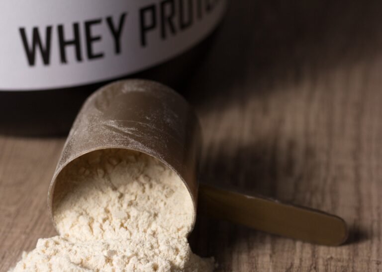types of protein powder